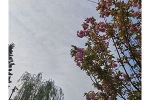 安乐堂守灵治丧，传承中华文化的庄严仪式