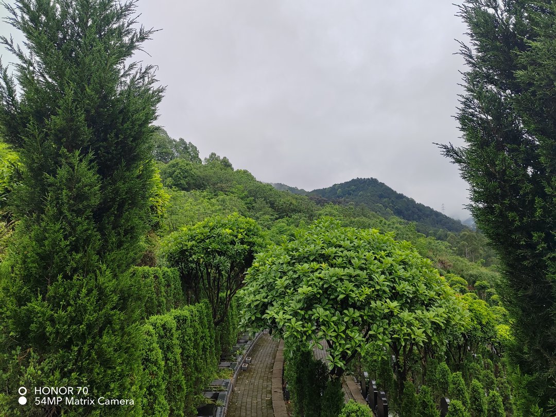 thumb_IMG_20230422_100516